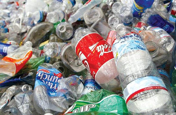 thu thập chai nhựa để tái chế